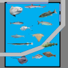 Burgers Wad V2 - North Sea Aquarium (Commersial version) 3.png