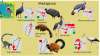 Avifauna - Madagascar.png