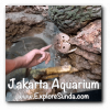 Jkt-aquarium-crab-touch-pool.png