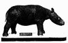 rhinoceros sondaicus4.JPG