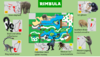 Wildlands - Rimbula (Enclosure guide) (Common).png