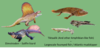 Comparison species 3.png