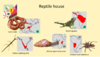 Dierenrijk - Reptile house.png