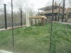 145 Amur Leopard Exhibit.JPG