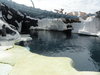 39 Beluga Whale Exhibit.JPG