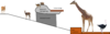 Giraffe diagram 1.png
