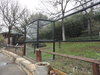 12 American Black Bear Exhibit.JPG