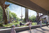 interior-gorilla-viewing-rendering.jpg