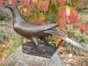 Passenger Pigeon Statue.JPG