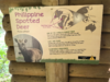 Phillipine Spotted Deer sign.png