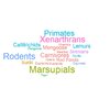 Wordcloud Mammalincrease.jpeg