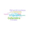 Wordcloud Mammaldecrease.jpeg
