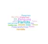 Wordcloud Birdincrease.jpeg