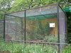 Civet New Zoo.JPG