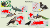 Avifauna - Kamchatka.png