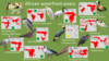 Planckendael - African waterfront aviary.png