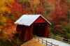 Covered bridge.png