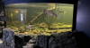 Aquarium.png