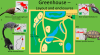 Pakawi - Greenhouse layout.png