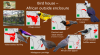 Bird house - Outdoor African.png