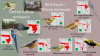 Bird house - Indoor African.png