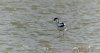 wwtslim9marchavocet.jpg