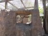205 Snow Leopard Exhibit Alcove.JPG