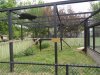 126 Serval Exhibit.JPG