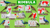 Wildlands - Rimbula Birds.png