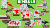 Wildlands - Rimbula ground birds.png