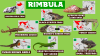 Wildlands - Rimbula herps.png