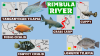 Wildlands - Rimbula river.png