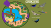 Burgers' zoo - Mangrove (Map).png