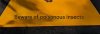 insects.jpg