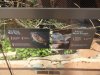 11 West African Mud Turtle, Helmeted Marsh Terrapin Signs.JPG