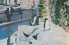 Penguins Chester Zoo.png