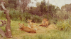 Lions Simbella, Sandra, Louie and young Alistair.png