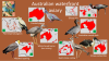 Planckendael - Australian waterfront aviary.png