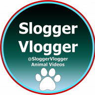 sloggervlogger