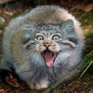 MaNuL