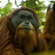 Conservation Station