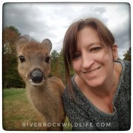 River Rock Wildlife