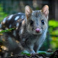 Hunter_zoophotography