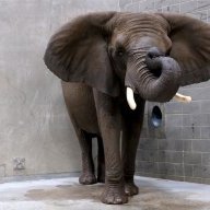 Personwhoreallylikeszoos