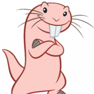 Heterocephalus Glaber