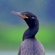 Juan Espanha Moreira Dias