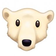polarbear