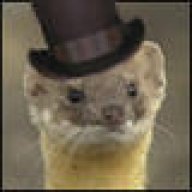 Mr.Weasel