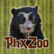 Phoenix Zoo
