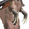aardvark250